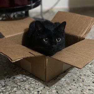 Meet your Posher, Karla